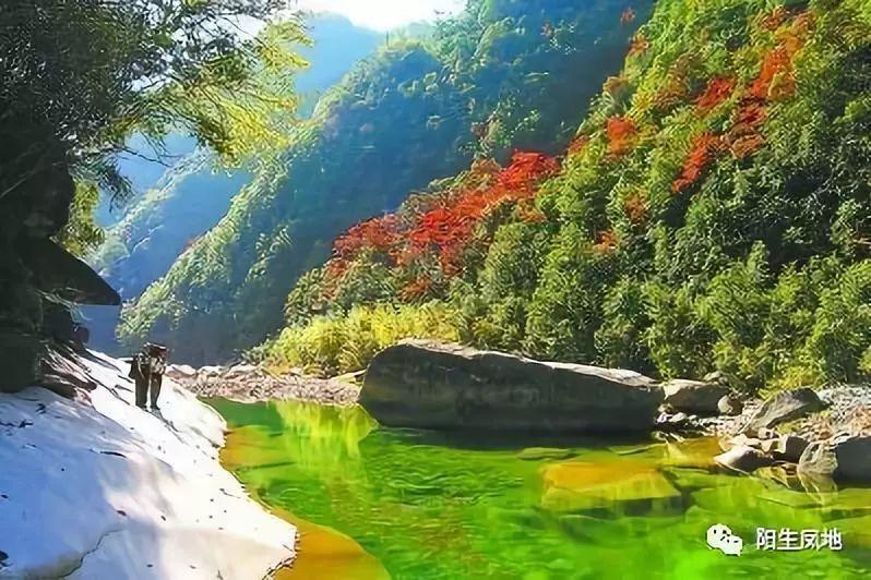 确山县“五星”引领振兴路