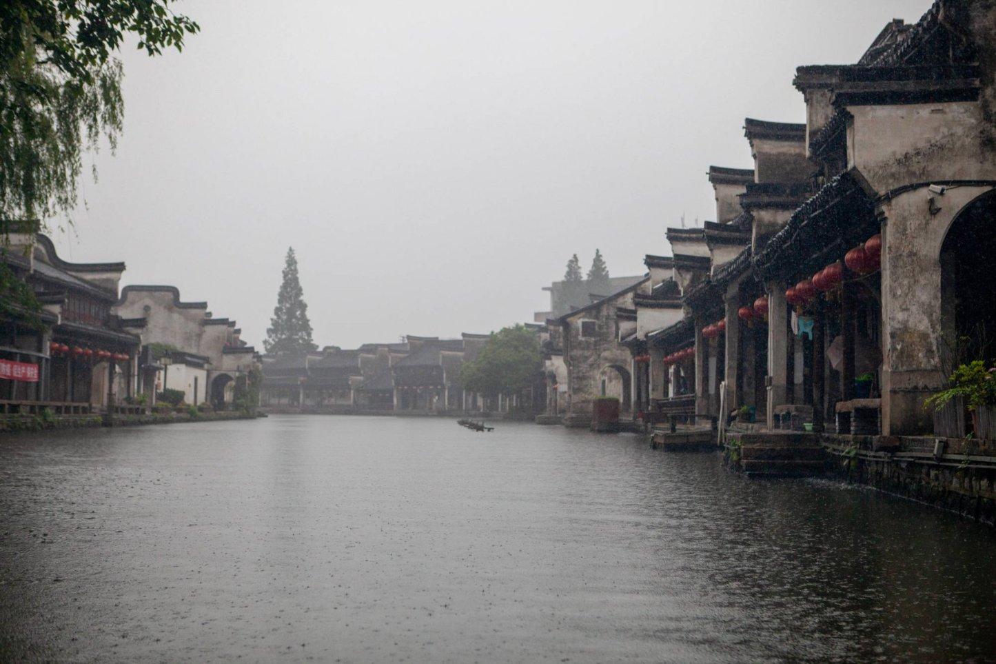 春雨直播app
